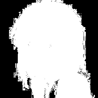 マスク画像